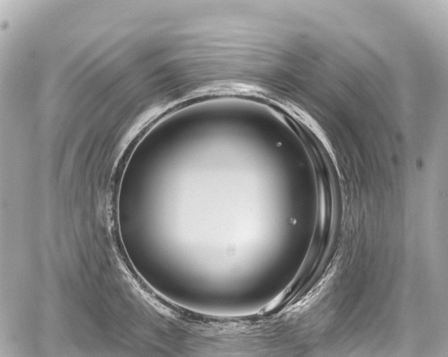 X0000059040997200510101005