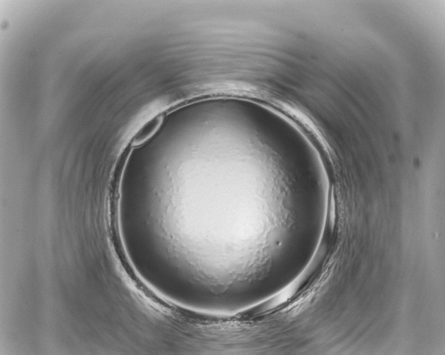 X0000059040999200510101005