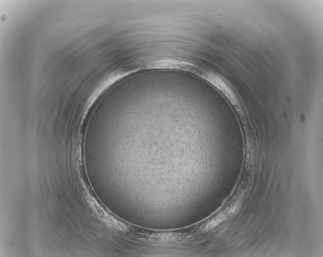 X0000059041000200510101005