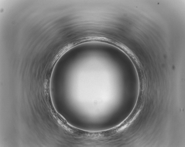 X0000059041001200510101005