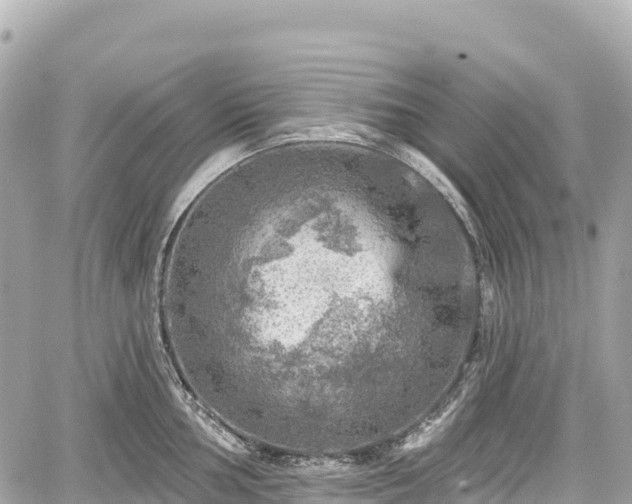 X0000059041002200510101005