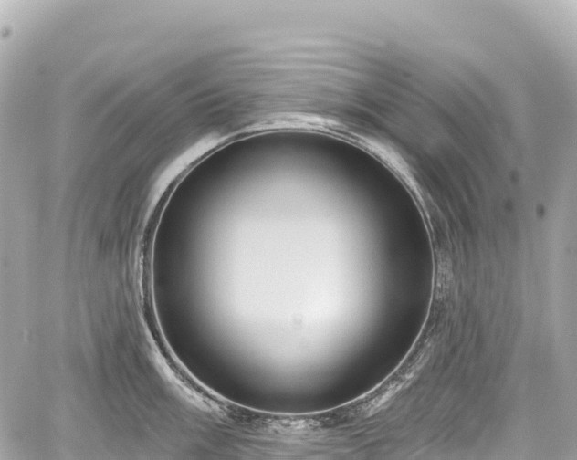 X0000059041003200510101005