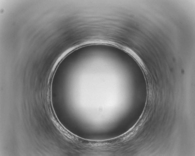 X0000059041004200510101005