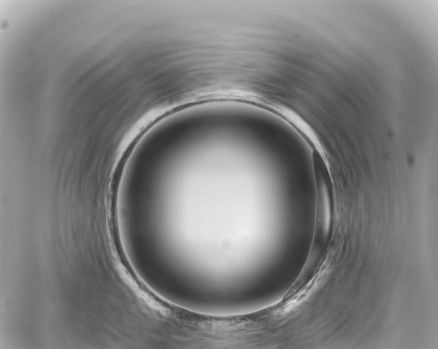 X0000059041005200510101005