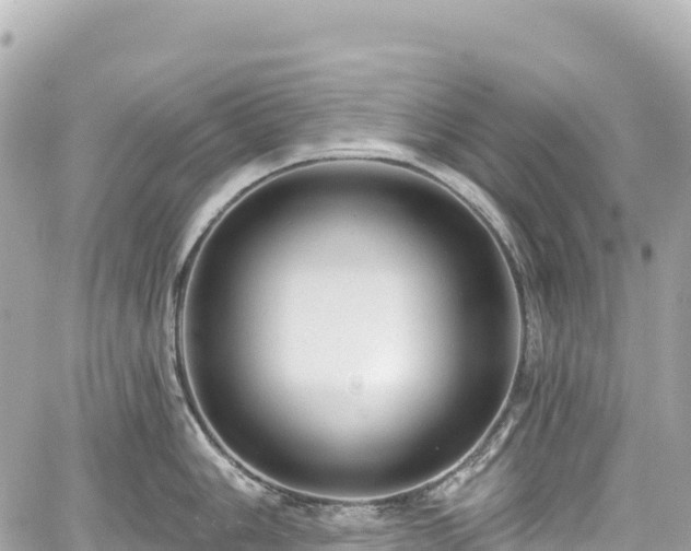 X0000059041006200510101005