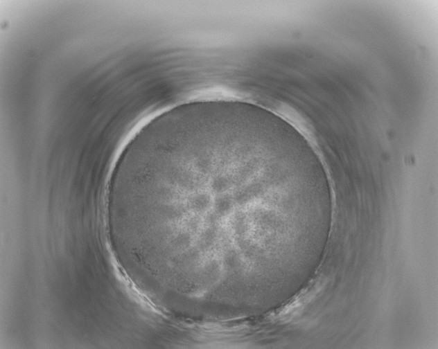 X0000059041008200510101005