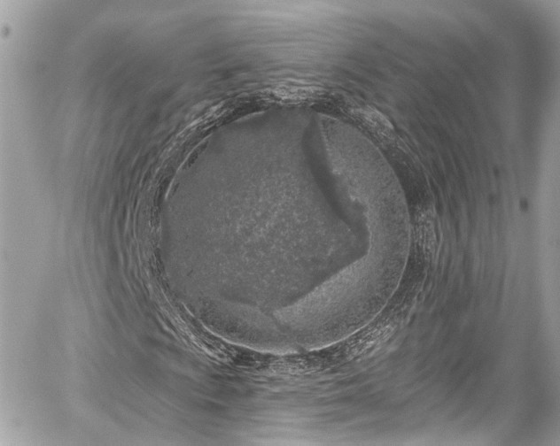 X0000059041009200510101004