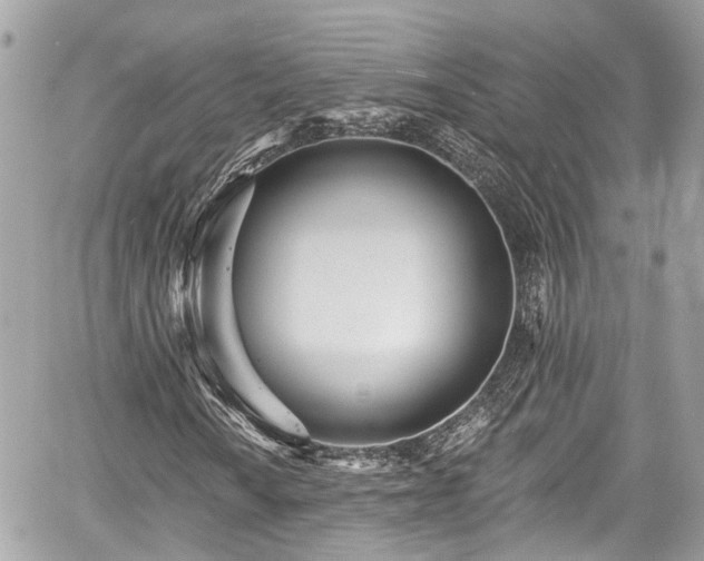 X0000059041010200510101004