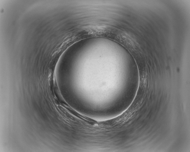 X0000059041012200510101004