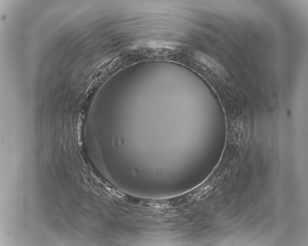 X0000059041013200510101004