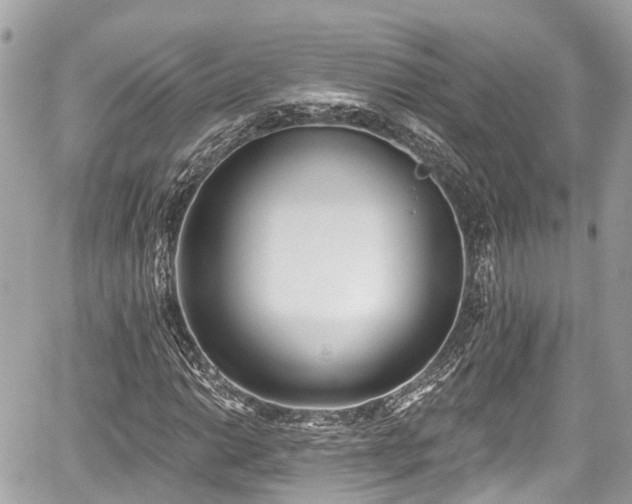 X0000059041014200510101004