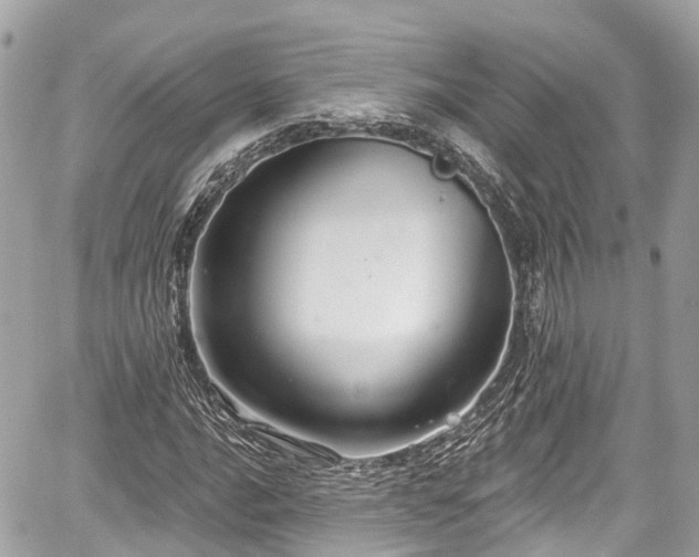 X0000059041016200510101004