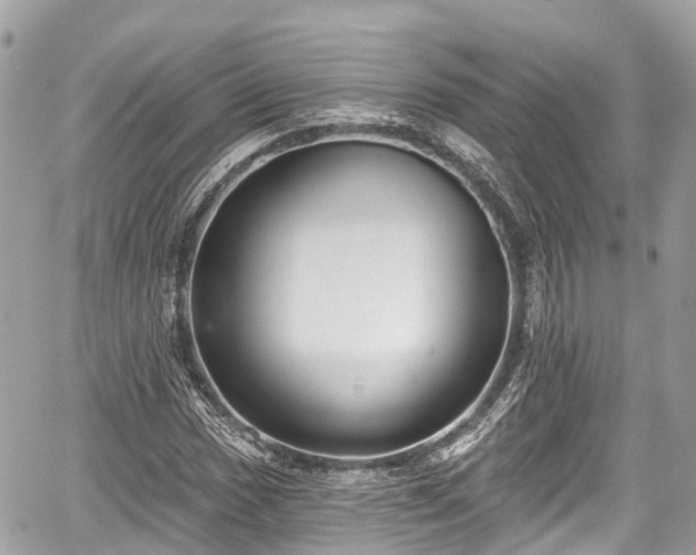 X0000059041017200510101004