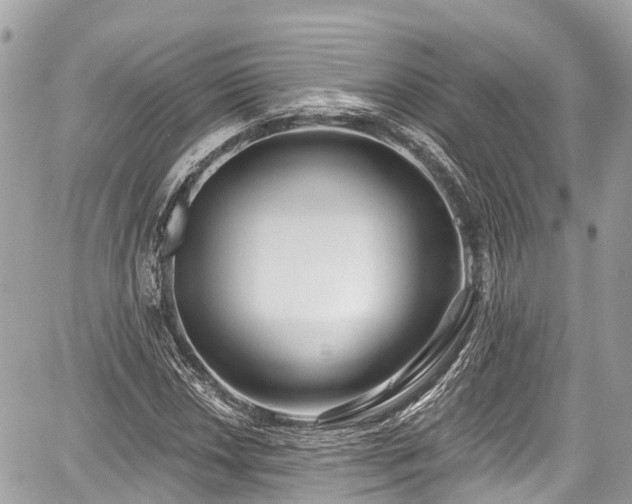 X0000059041018200510101004