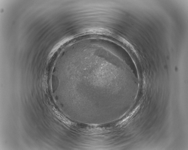 X0000059041019200510101004