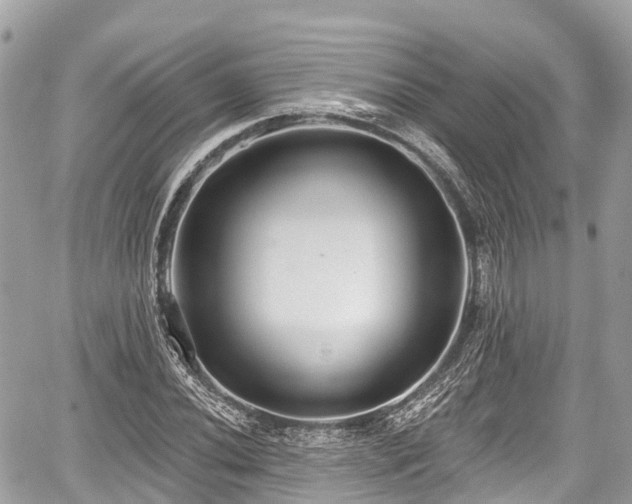 X0000059041020200510101004