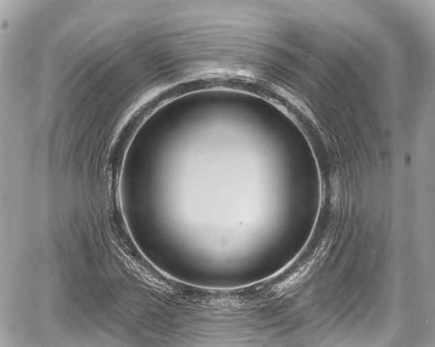 X0000059041021200510101004