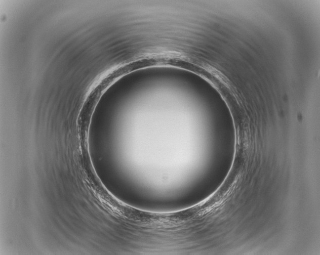 X0000059041022200510101004