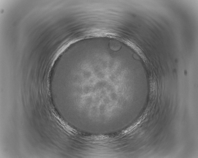 X0000059041023200510101004