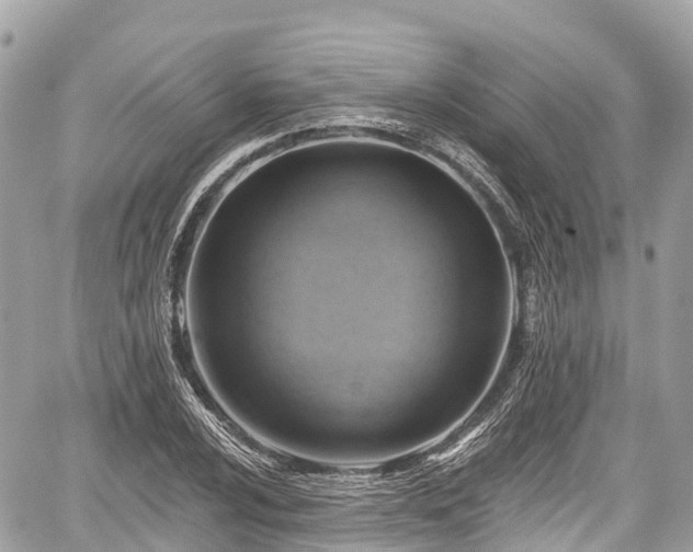 X0000059041024200510101004