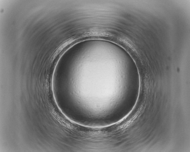 X0000059041025200510101004