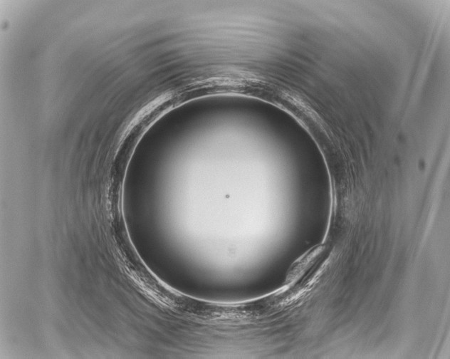 X0000059041026200510101004