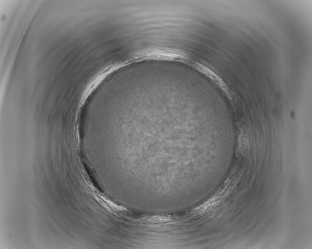 X0000059041027200510101004