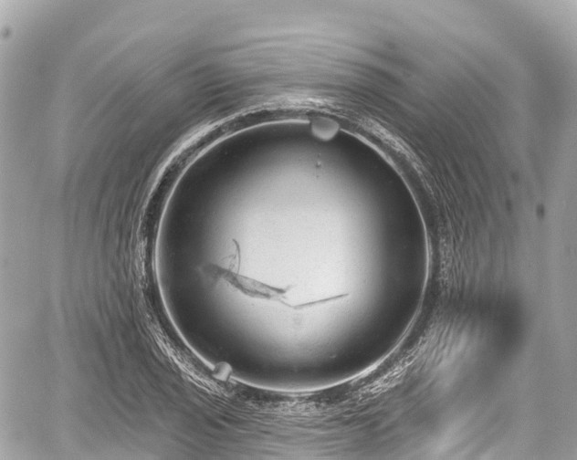 X0000059041029200510101004