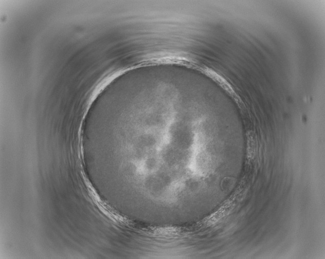 X0000059041031200510101004