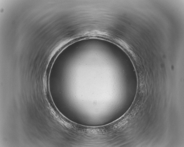 X0000059041032200510101004