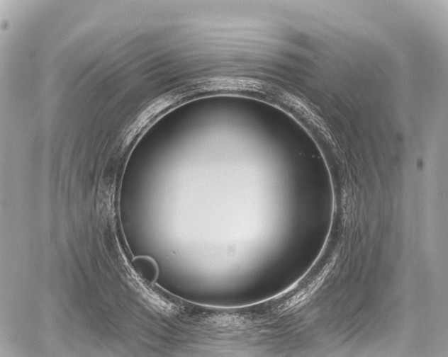 X0000059041033200510101004