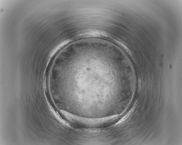 X0000059041034200510101004