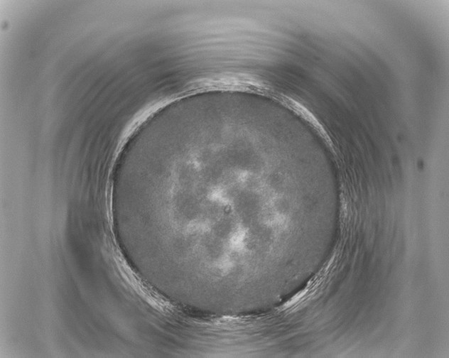 X0000059041035200510101004