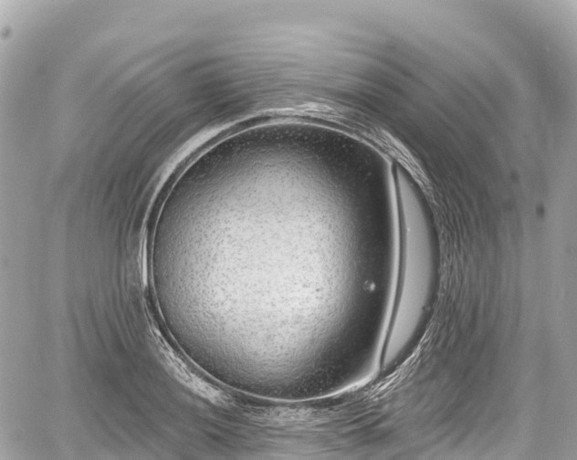 X0000059041036200510101004