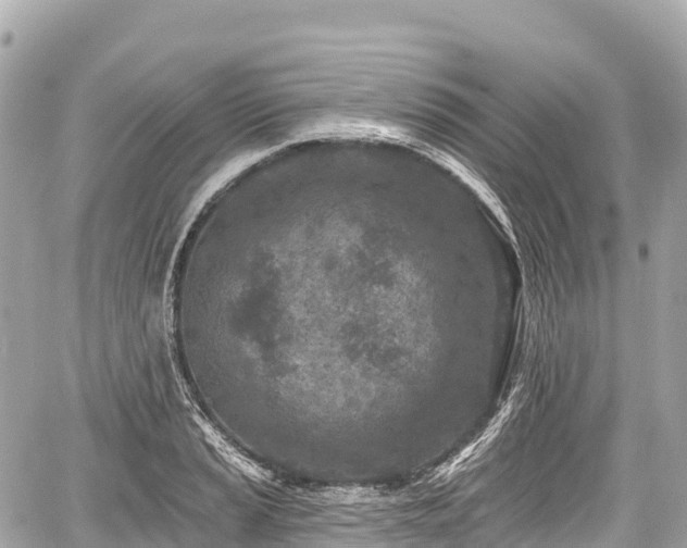 X0000059041037200510101004