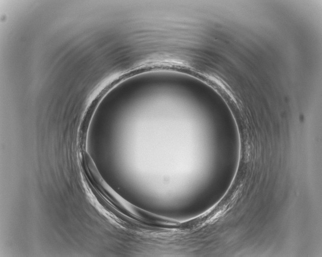 X0000059041038200510101005