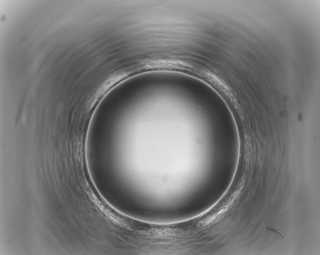 X0000059041041200510101005