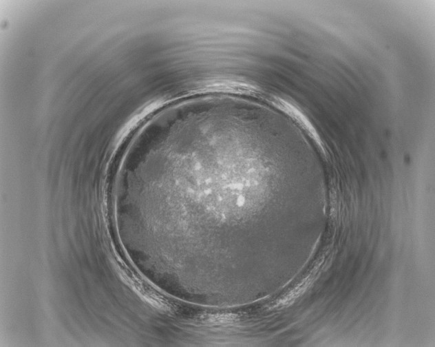 X0000059041043200510101005