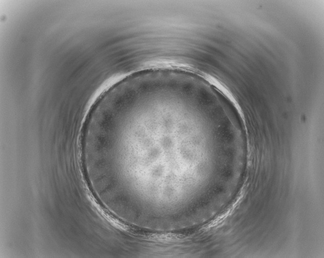 X0000059041045200510101005