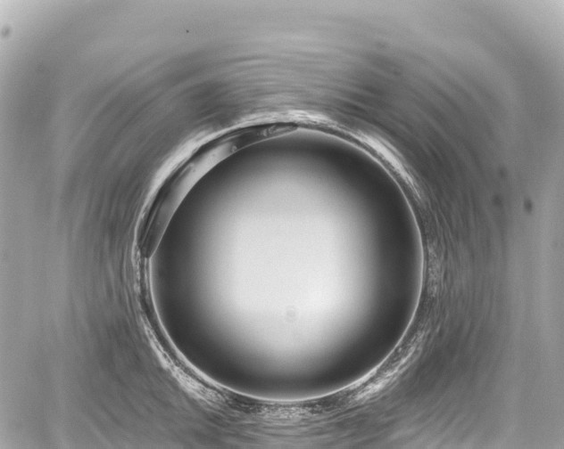 X0000059041046200510101005