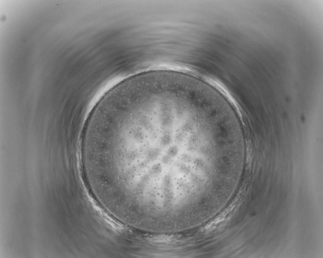 X0000059041048200510101005