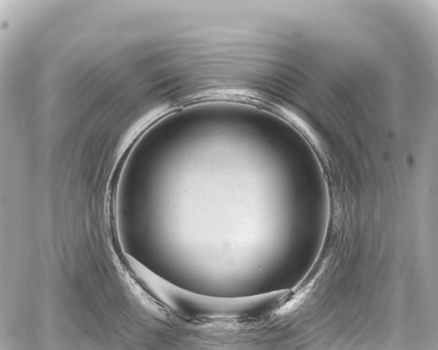 X0000059041050200510101005