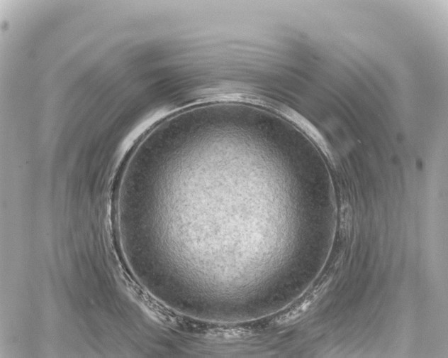 X0000059041051200510101005