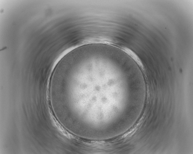 X0000059041052200510101005