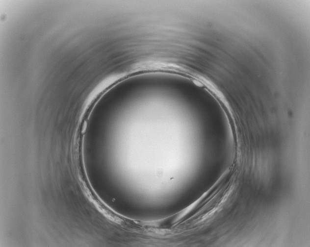 X0000059041053200510101005