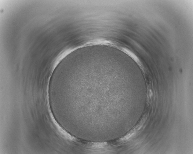 X0000059041055200510101005