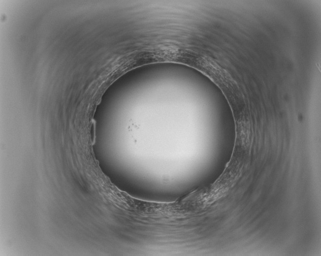 X0000059041057200510101004