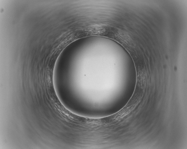 X0000059041058200510101004