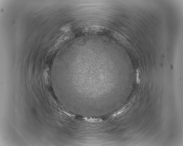 X0000059041059200510101004