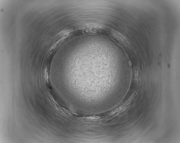 X0000059041060200510101004